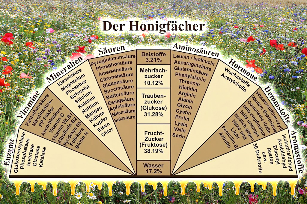 Honig aus dem Abfülltopf