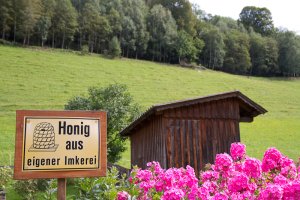 Bienenhaus Ahlhof Untertal Seitenansicht