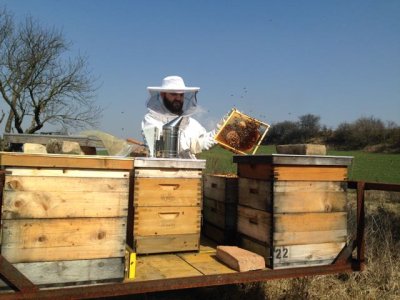 Bienenarbeit