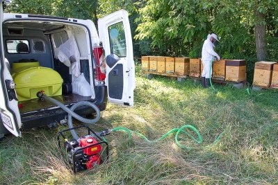 Bienen füttern