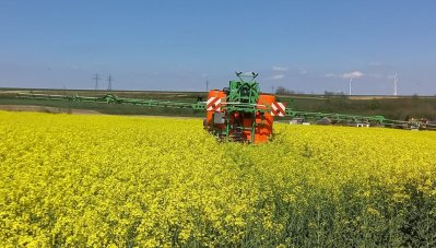 Spritzmittel in der Rapsblüte nicht außerhalb der Bienenflugzeit ausgebracht. Foto © Ing. Franz Obendorfer Rapsfeldspritzung 2023