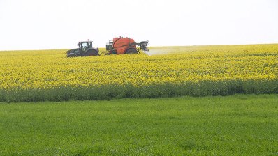 Unsachgemäße Ausbringung von Pestiziden in der Rapsblüte so nicht raps