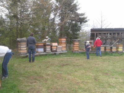Bienenvoelker