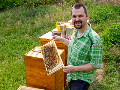 Bienen Kontrolldurchsicht