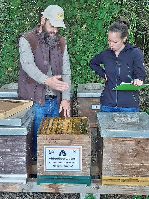 Bio-Kontrolle am Bienenstand, Foto © DI Dr. Wolfgang Pirklhuber