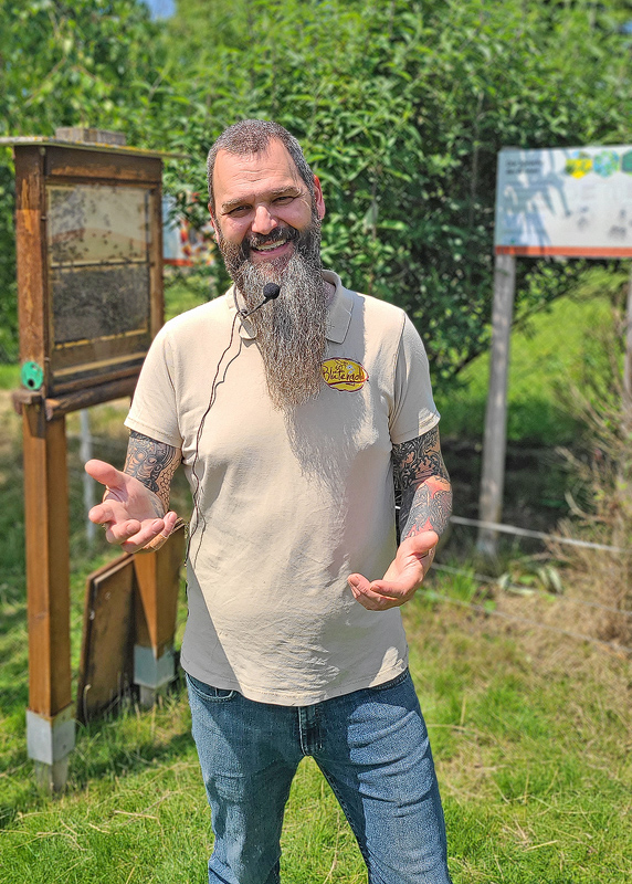 Imkermeister Obendorfer erklärt das Leben der Biene live am Schau-Bienenstock
