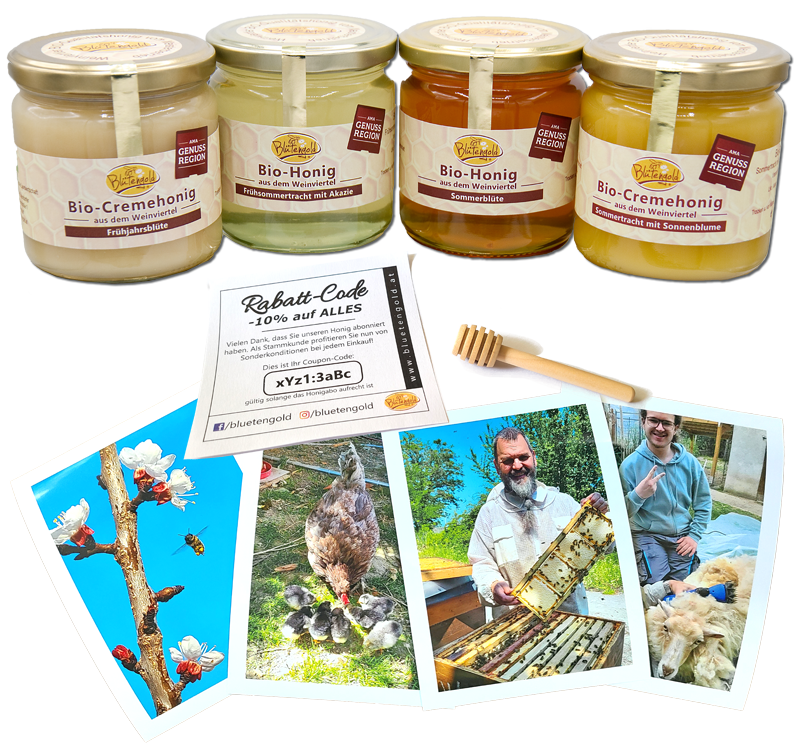 Honiggläser und Fotos