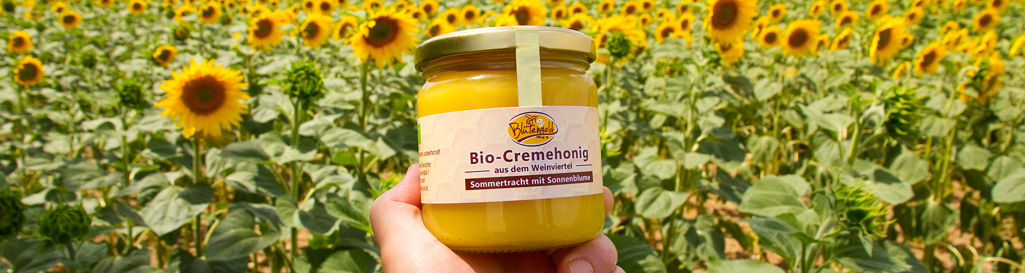 Honigglas vor Sonnenblumenfeld